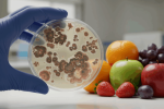 mycotoxins-and-contaminant-testing-png